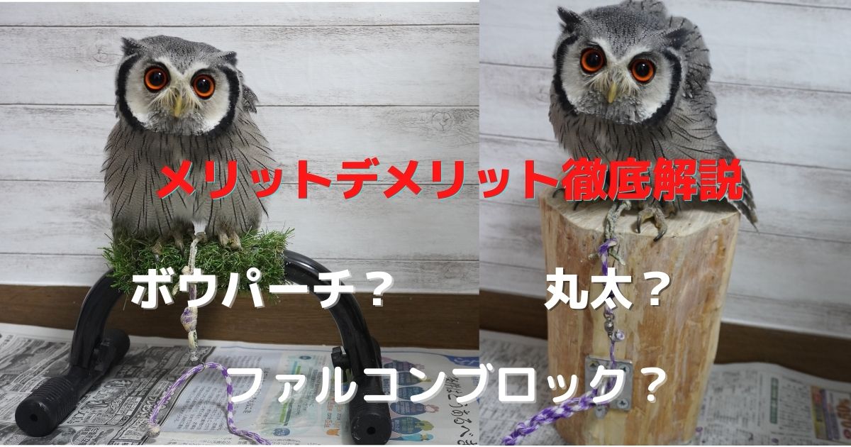 ふくろうの飼い方】ふくろうさんを係留飼育するなら何に留める？【係留